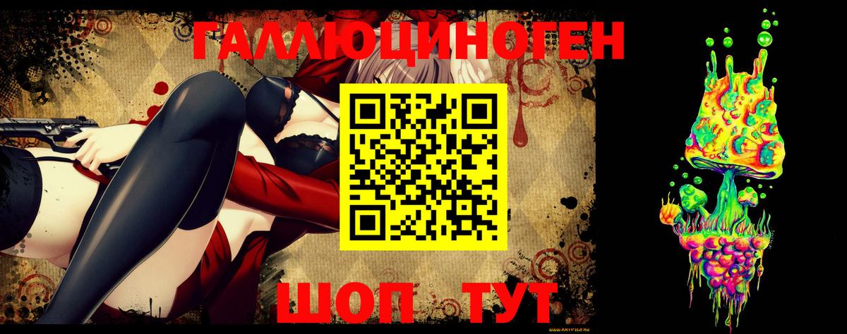 Большой Камень  Галлюциногенные грибы Psilocybine cubensis  Вход с VPN  Псилоцибиновые грибы Psilocybine cubensis 